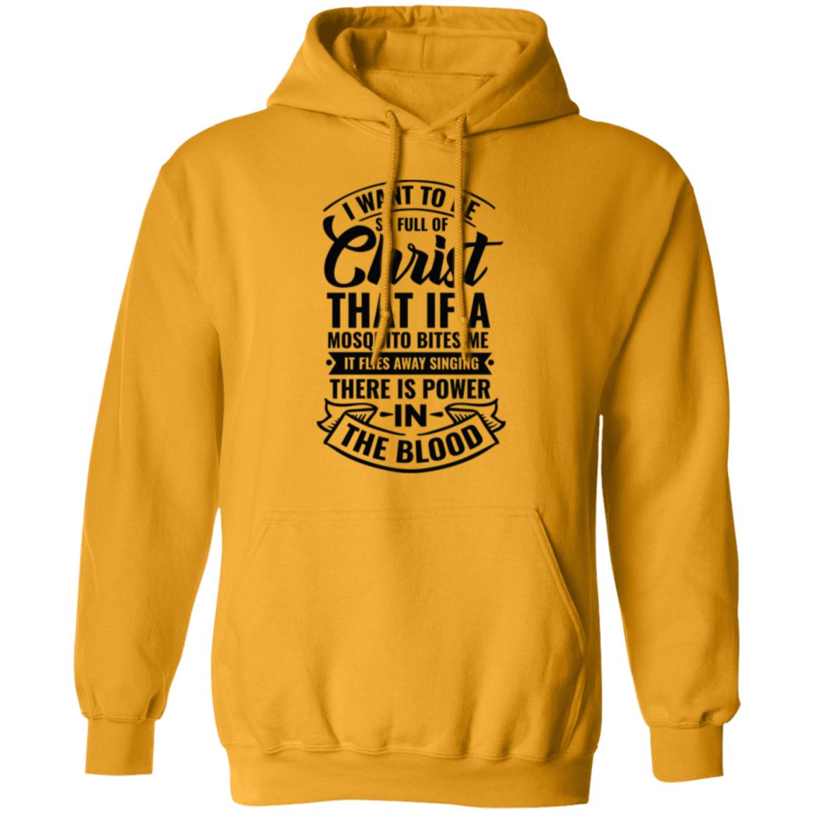 Full of Christ Hoodie